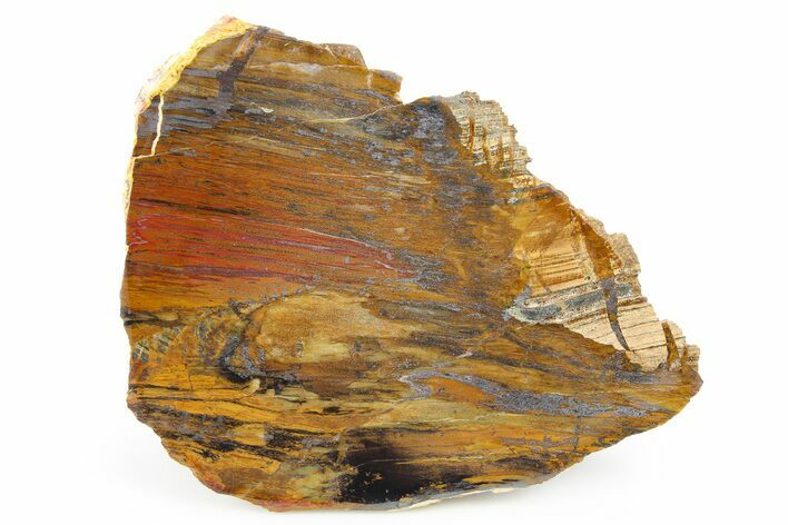 Lustrous Binghamite Agate Slab - Minnesota #263709